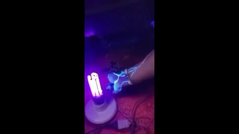 What’s with all the purple lights going up?