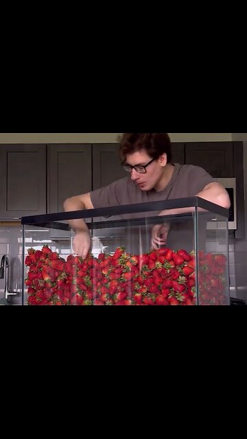 Beryllioses Feats: The Great Strawberry Challenge!” 🍓🏆