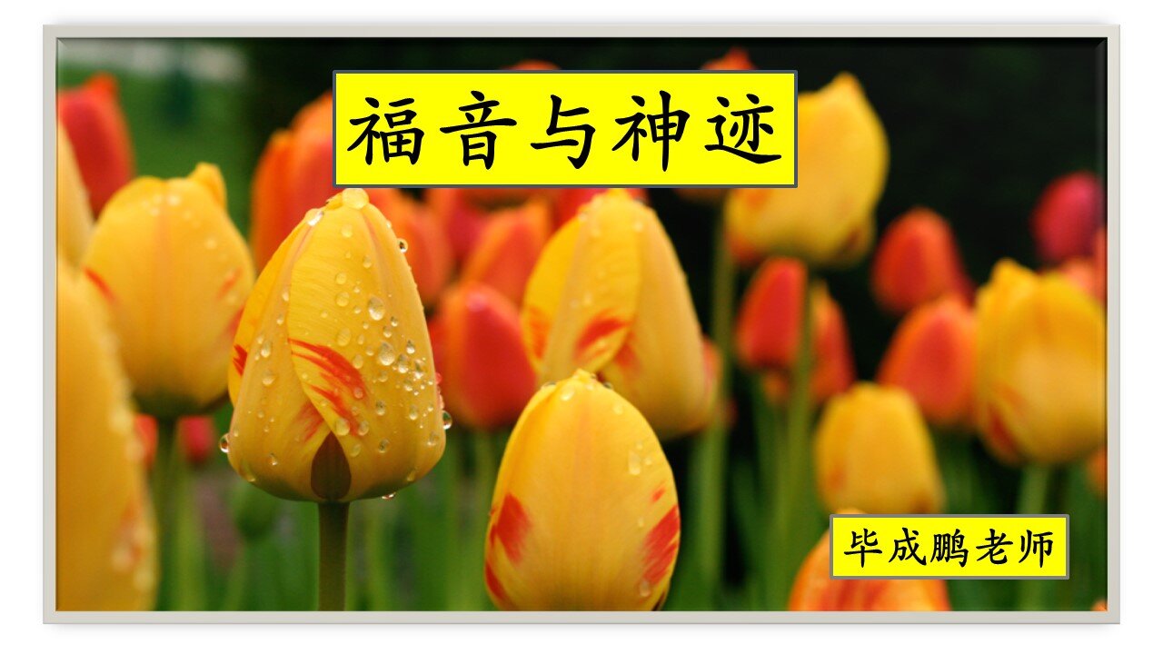 福音与神迹