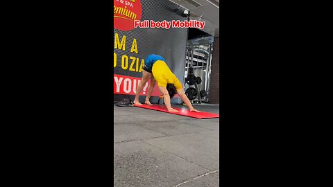 Full Body Mobility