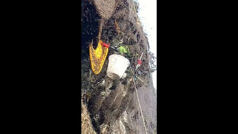 Would you do this work for a living?