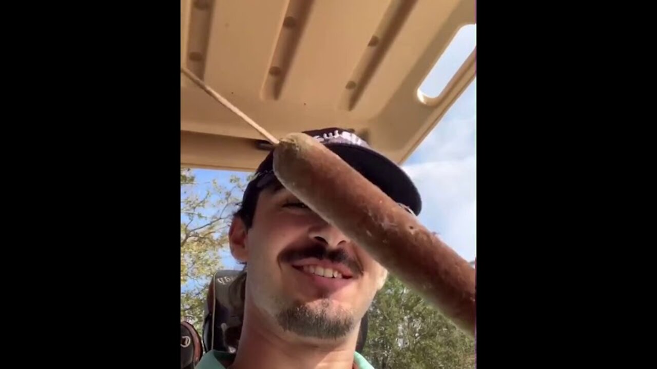 Guy takes a bite out of a cattail plant saying it’s a hotdog.