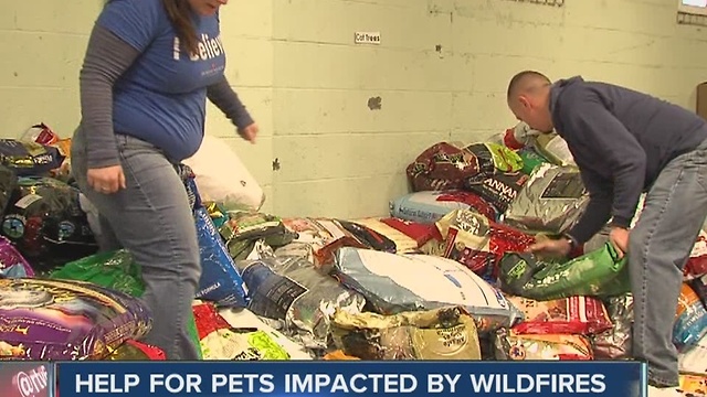 IndyHumane helping pets impacted by wildfires in Tennessee