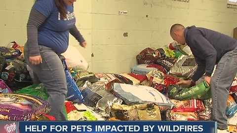 IndyHumane helping pets impacted by wildfires in Tennessee