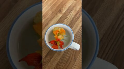 Making Some Garden Fresh Nasturtium Tea