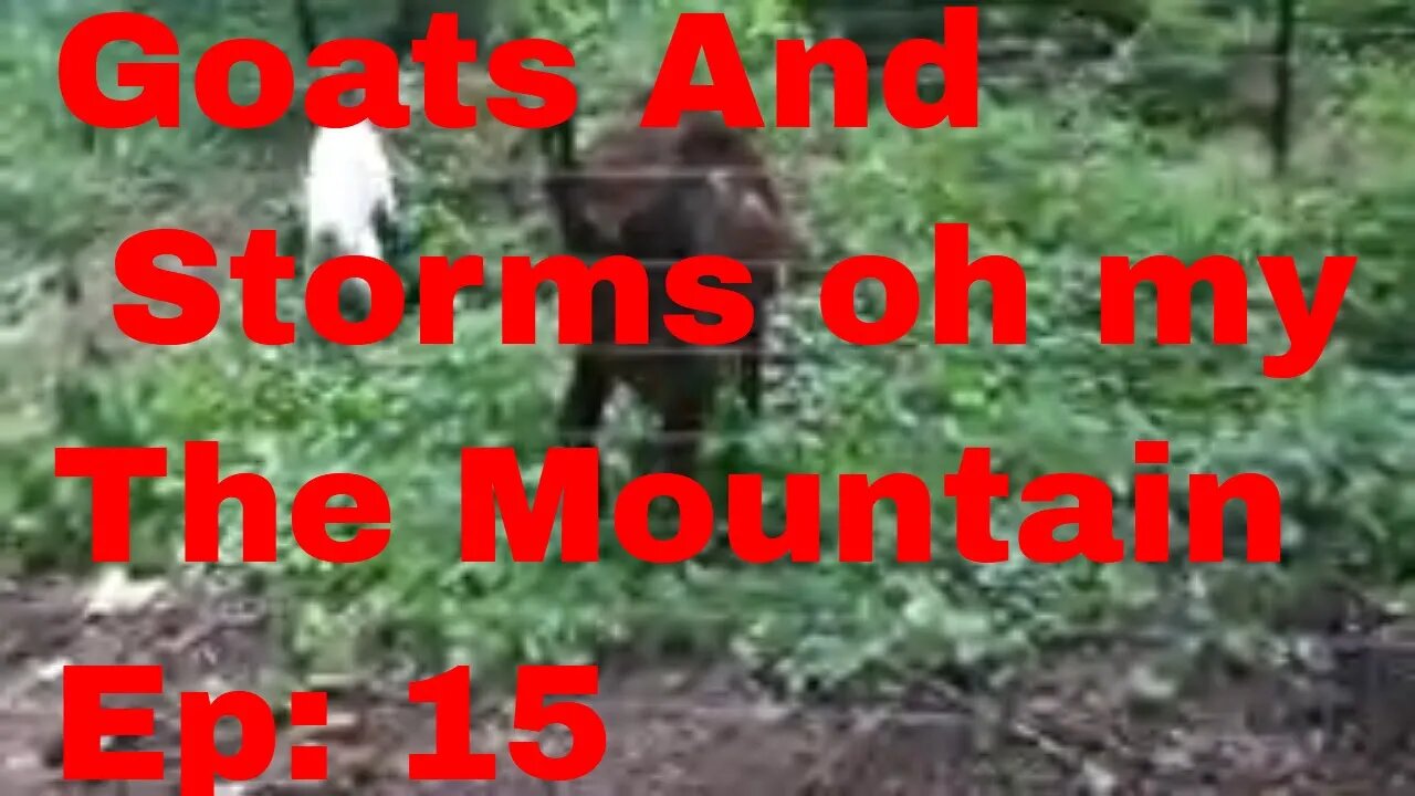 The Mountain Homestead Ep:15 Goats Storms, Oh My!