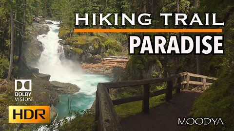 4K HDR Nature Exploring - Hiking Trail Paradise Overlooking Silver Falls - Heartful Wonderment