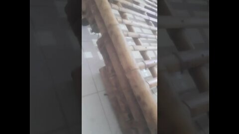 cama de bambu mosso