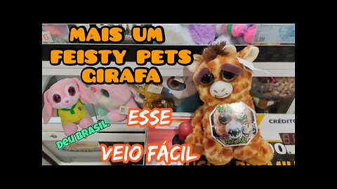 PEGUEI MAIS UM FEISTY PETS GIRAFA 🦒🦒🦒 SEM GASTAR MUITO 👏🙏👏