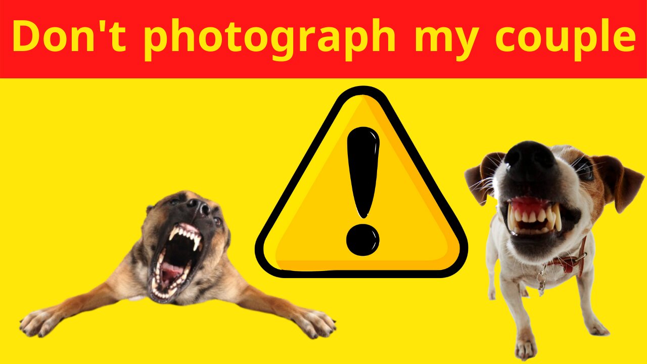 😡Be careful ? Don't photograph my couple 😍 - the amazing and loyal dog