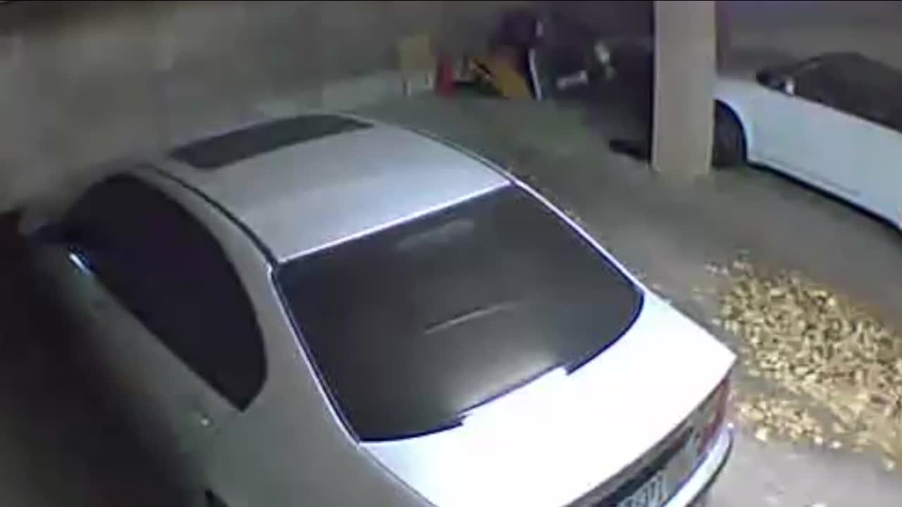 Bill to crack down on auto theft passes first committee test with one important carveout