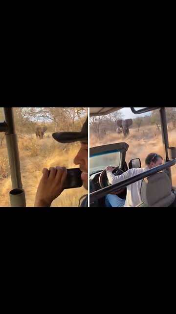 Terrifying Moment Elephant Chases Tourists On Safari In South Africa