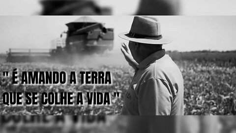Morre Manoel Nunes Ferreira. O nosso amigo produtor recebe homenagem especial do T&D @Riza Sementes