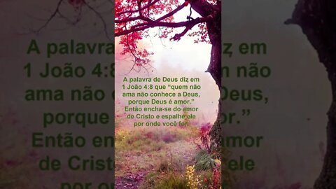 Deus é amor | #MensagensdeReflexãodeDeus