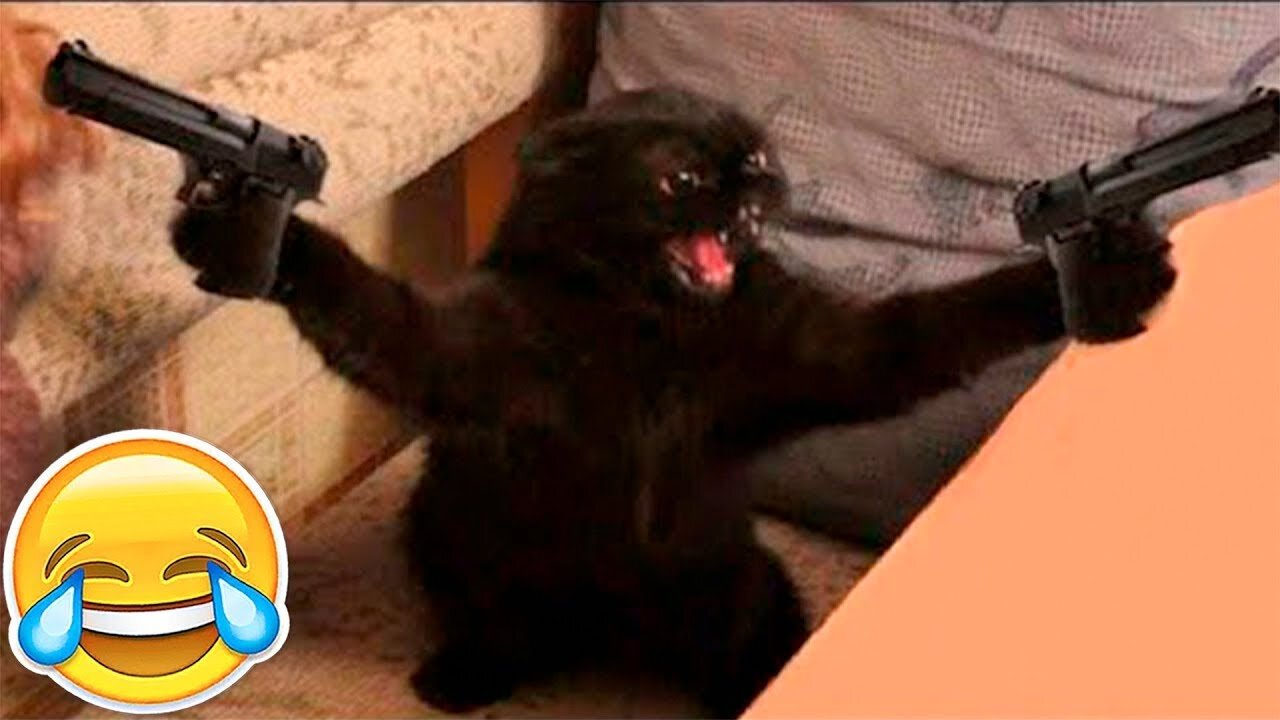 😂♥️ New Funny Animals ♥️😂 Funniest Cats & Dogs 😻♥️🐶