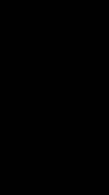 A Hillary Clinton, Kamala Harris administration