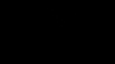 A Hillary Clinton, Kamala Harris administration