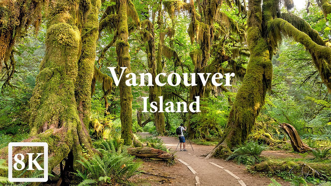 Vancouver island in 8k - paradise of Canada (60)FPS)