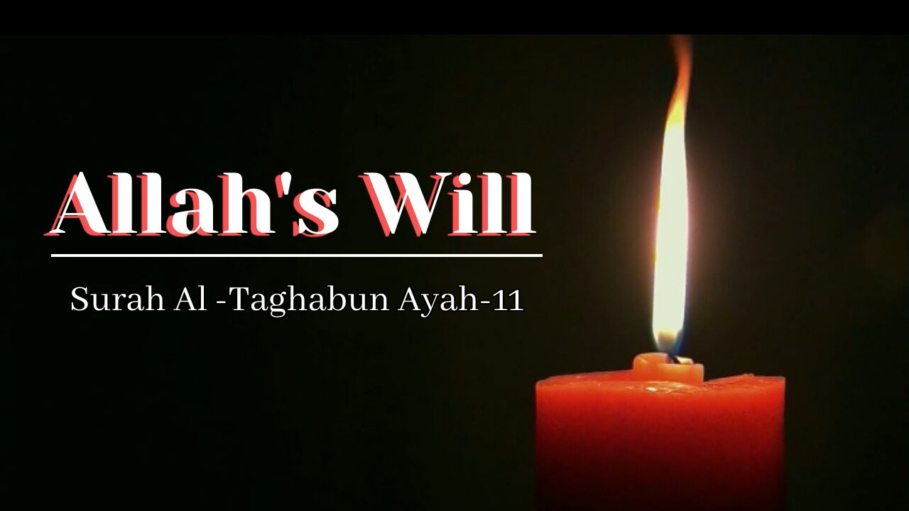 Holy Qur'an.Recitation of Surah Al Taghabun ,Ayah-11💕