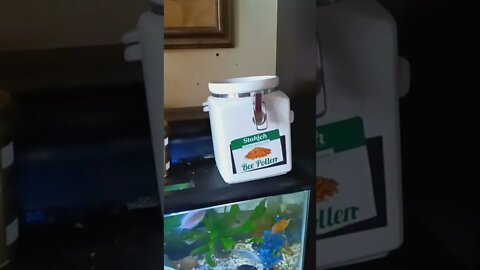 my fish aquarium tank fish on my perga and bee pollen we sell worldwide