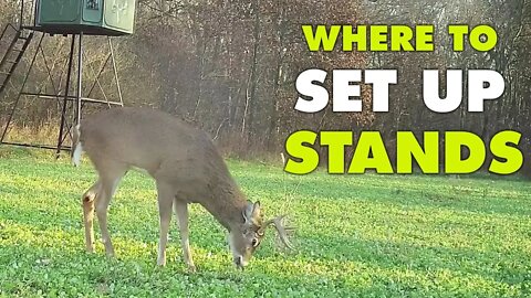 Where to Set Up Hunting Stands to Increase Your Odds