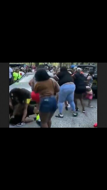 Juneteenth Street Party Brawl - HaloNews