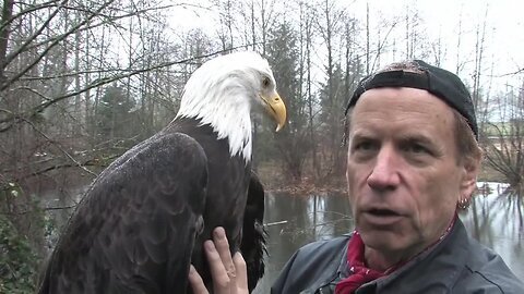 A Visit with Freedom - A rainy day in Arlington, WA