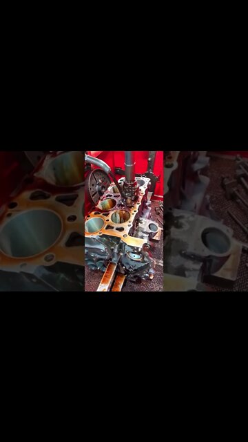 #shorts #2022 funny,prank,funjokes,dad jokes,funny memes,funny video,fun,laughing,funny animal,knock