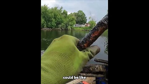 Magnet Fishing Reveals Musical Surprise! #magnetfishing