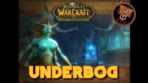 HOW MUCH GOLD?!? WoW Gold Run - Underbog