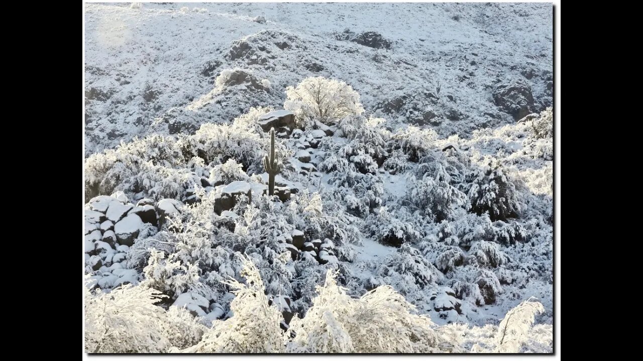 Category Five Climate Nonsense From Vox