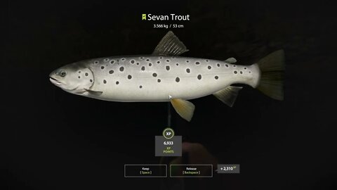 Russian Fishing 4 Kuori lake Sevan Trout 3.566 Kg