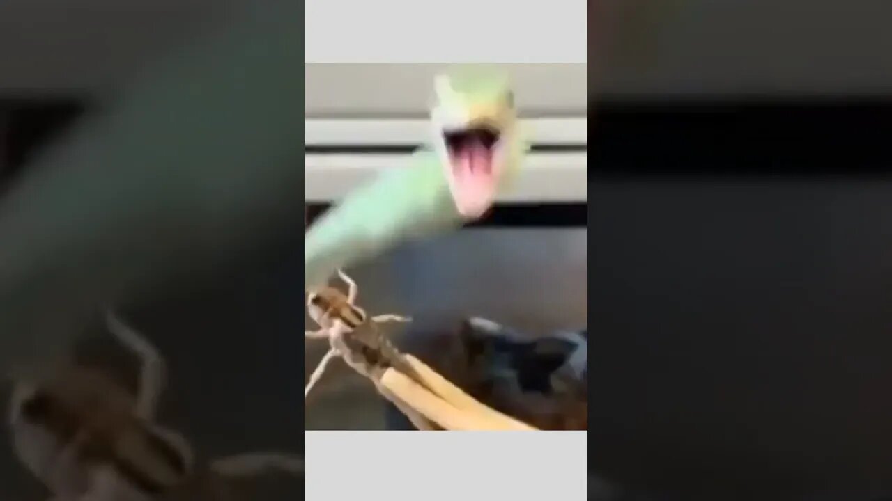 No caption needed 🤣