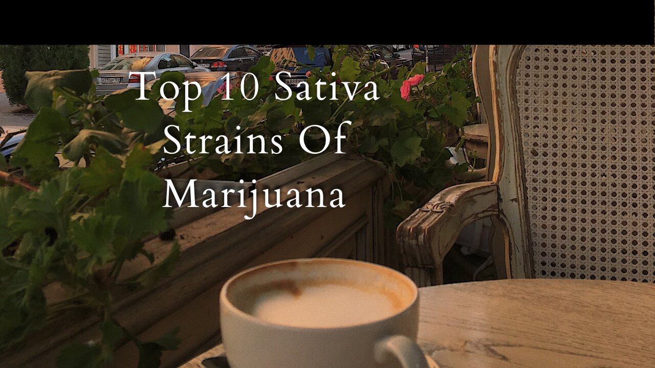 Top 10 Sativa Strains Of Marijuana