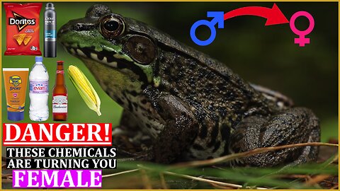 E105 - DANGER! Endocrine Disruptors: A Public Health Crisis