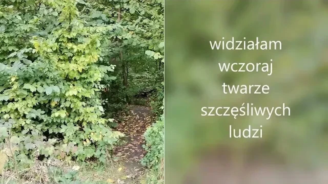 widziałam wczoraj twarze szczęśliwych ludzi