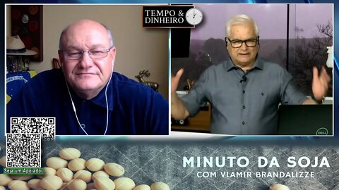 Milho recebendo boas chuvas e lavouras em excelentes condições