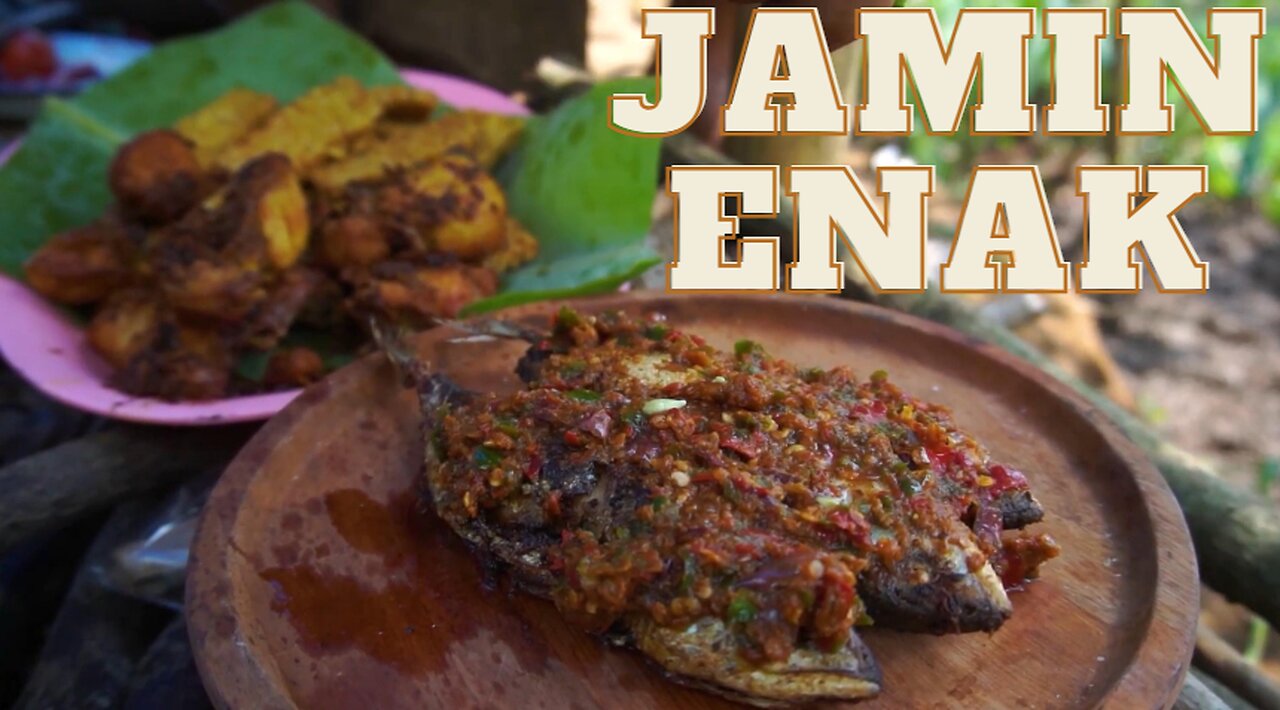 Makan makan di sawah sambil panen ubi