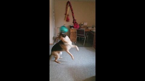 ghetto bite training