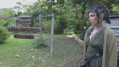 Inside the Amazon Rainforest | Amazon Jungle Tour