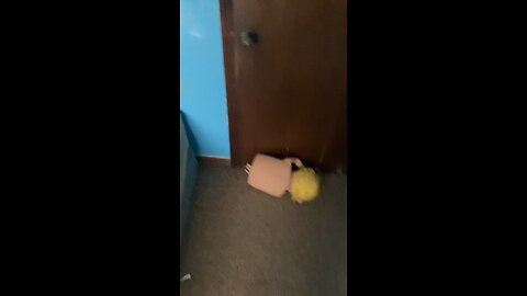 Trick shot failure