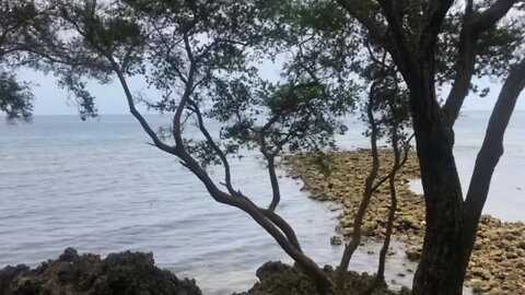 A Nice Place to Chill with Family | Post Birthday Celebration for Gladys