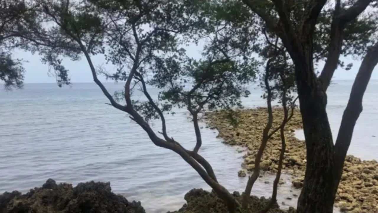 A Nice Place to Chill with Family | Post Birthday Celebration for Gladys