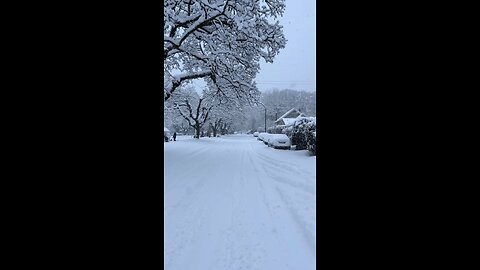 Snow time Vancouver