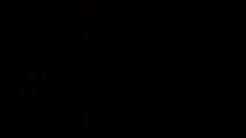 Read my medium.com article about lack of national media outrage & attention on foster care abuse!