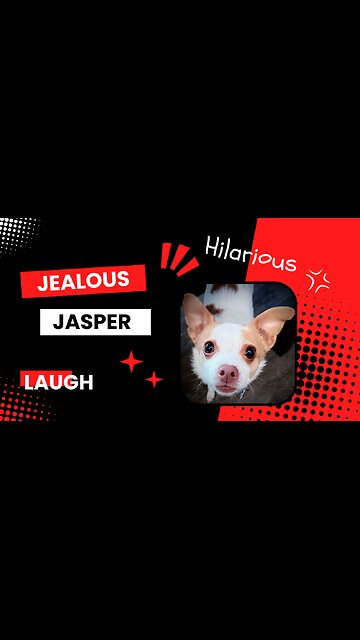 Jealous Jasper 😂