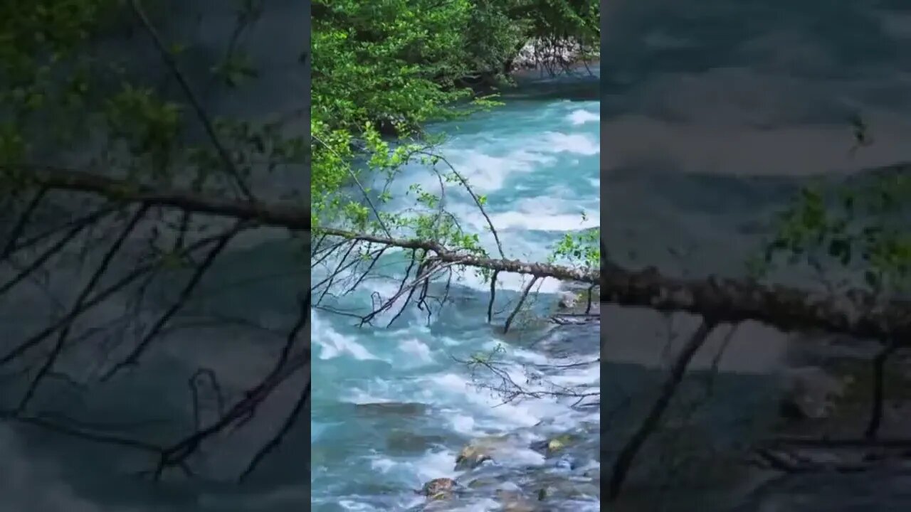MÚSICA PARA RELAXAR MEDITAÇÃO ZEN SONS DA NATUREZA MÚSICA PARA ALIVIAR O ESTRESSE Shorts7