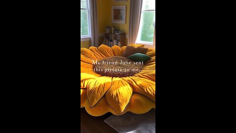 Sunflower Power🌻