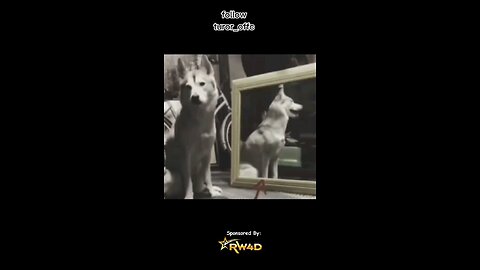 creepy things caught on camera