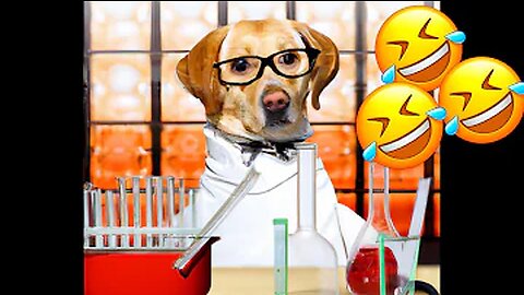 Funny Animal Videos 2023 | Funniest Cats And Dogs Video | Cutest Animals Ever